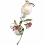 Бра флористика