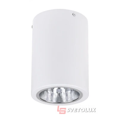 Светильник потолочный накладной DL-04 W Е27 WH Brille