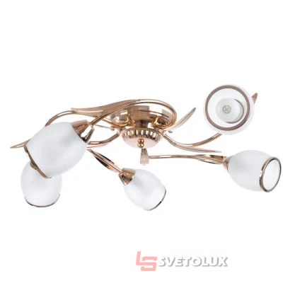 Люстра Brille LK-155S/5 FGD