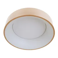 Светильник светодиодный настенно-потолочный накладной WBL-28C/30W*2 RG Brille