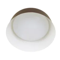 Светильник настенно-потолочный светодиодный накладной BL-598C/24W WW COF Brille