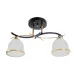 Люстра на 2 плафона LK-710S/2 E27 BK+FG Brille