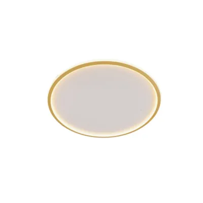 Светодиодная потолочная люстра BL-758С/50W WW G