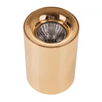 Точечный светильник Brille AL-96/1 GU10 G IP20