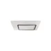 Светодиодный настенно-потолочный светильник WBL-35C/360W RM с пультом управления Brille