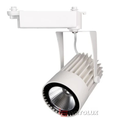 Прожектор трековый Brille LED-410/36W CW WH COB