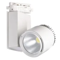 Прожектор трековый Brille LED-414/40W CW WH COB