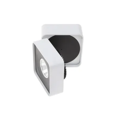 Светильник потолочный LED накладной светодиодный поворотный LED-216/33W NW WH Brille