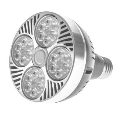 Лампа светодиодная Brille LED E27 30W WW PAR30 Лампа светодиодная Brille LED E27 30W WW PAR30