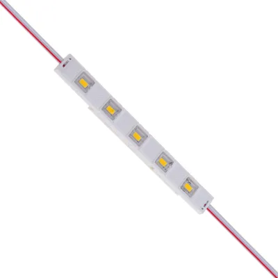 Светодиодный модуль 12V 1.2W SMD 2835 WW IP65 (BY-093/5) Brille Светодиодный модуль 12V 1.2W SMD 2835 WW IP65 (BY-093/5) Brille