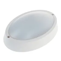 Светильник уличный Brille AL-15/10W LED CW IP64