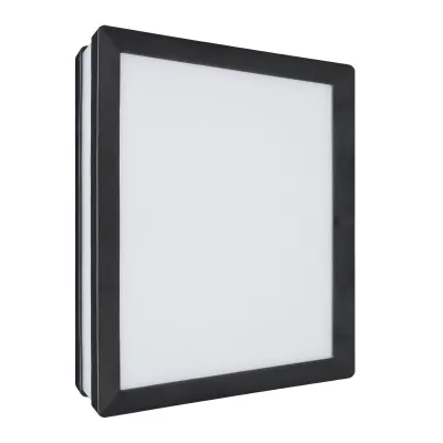 Підсвічування фасадне LED 20W WW IP54 BK (AL-623) Brille