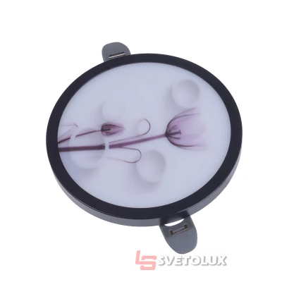 Светильник точечный LED HDL-M49 3W WW Brille