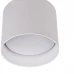 Металлическая подсветка на потолок AL-732/1 GX53 WH Brille Металлическая подсветка на потолок AL-732/1 GX53 WH Brille