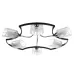 Люстра Brille LK-282S/6 E14