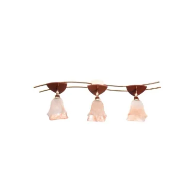 Люстра Brille LK-188S/3 E14 FGD