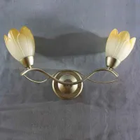 Бра Brille LK-196W/2 E14