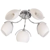 Люстра Brille LK-215S/5 E14 CH