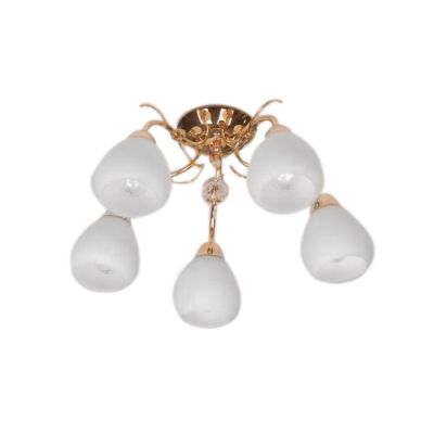 Люстра Brille LK-236S/5 E14 FG