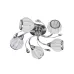 Люстра Brille LK-239S/5 E14 CH