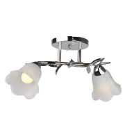 Люстра Brille LK-364S/2 E14 CH Люстра Brille LK-364S/2 E14 CH