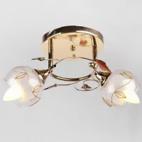 Люстра Brille LK-384S/2 E14 G