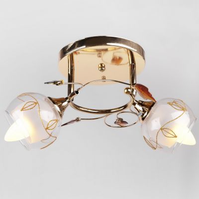 Люстра Brille LK-384S/2 E14 G