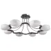Люстра Brille BR-373S/8 CHR