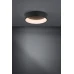 Потолочный светильник Marghera 2 Eglo 390051 Потолочный светильник Marghera 2 Eglo 390051
