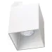 Светильник Polasso Pro Eglo 63191