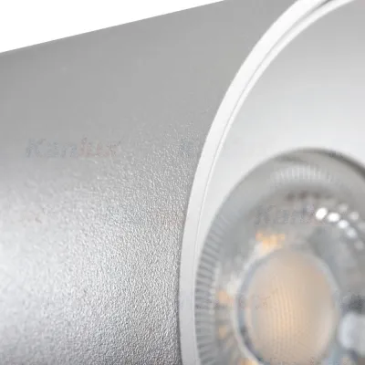 Потолочный точечный светильник Kanlux RITI GU10 W/W 27569