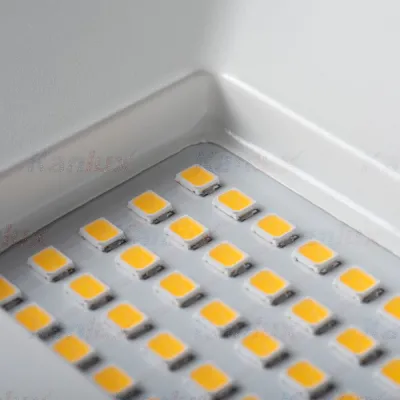 Прожектор LED GRUN v3 LED-50-B Kanlux 31183