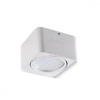 Потолочный точечный светильник Kanlux TUBEO ES 50-W 33270 Потолочный точечный светильник Kanlux TUBEO ES 50-W 33270