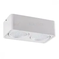 Потолочный точечный светильник Kanlux TUBEO ES 250-W 33273 Потолочный точечный светильник Kanlux TUBEO ES 250-W 33273