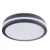 Светодиодный потолочный светильник Kanlux BENO 24W NW-O-GR 33341