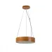 Подвес Kanlux JASMIN C 270-G/O 36499