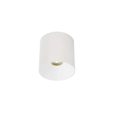 Точечный светильник Nowodvorski 8738 CL IOS LED 20W 4000K 36° WHITE CN Точечный светильник Nowodvorski 8738 CL IOS LED 20W 4000K 36° WHITE CN