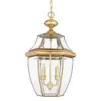 Светильник подвесной Quoizel QZ/NEWBURY8/L