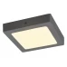 Потолочный led светильник Rabalux 2663 Lois