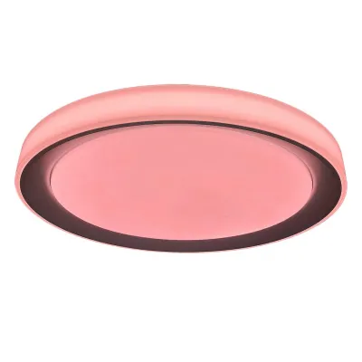 Потолочный светильник Rabalux 3510 Everest Потолочный светильник Rabalux 3510 Everest