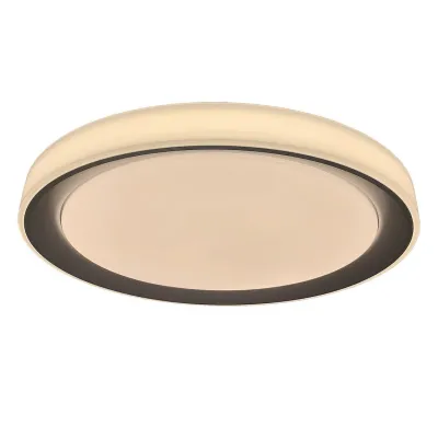 Потолочный светильник Rabalux 3510 Everest Потолочный светильник Rabalux 3510 Everest