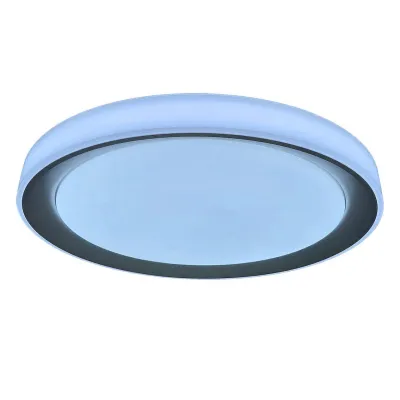 Потолочный светильник Rabalux 3510 Everest Потолочный светильник Rabalux 3510 Everest