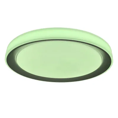 Потолочный светильник Rabalux 3510 Everest Потолочный светильник Rabalux 3510 Everest