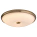 Потолочный светильник Rabalux 5196 Jasna Потолочный светильник Rabalux 5196 Jasna