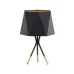 Настільна лампа TK lighting 5157 Ivo