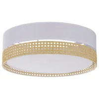 Стельовий світильник TK Lighting 6536 Paglia