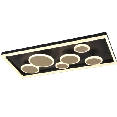 Потолочный светильник Trio 671710779 HARRIET