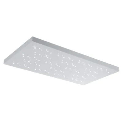 Потолочный светильник Trio 676611031 TITUS