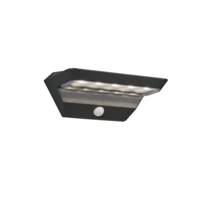 Вуличний настінний світильник Mendoza IP44 Reality R22241142