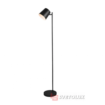 Торшер Blake USB Reality R42111132